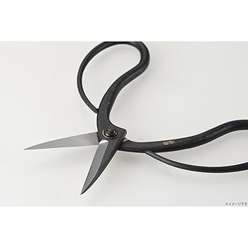 Amazon.co.jp: 高儀(Takagi) 菊堂 盆栽鋏 鋼付 180mm 鉢物 整枝